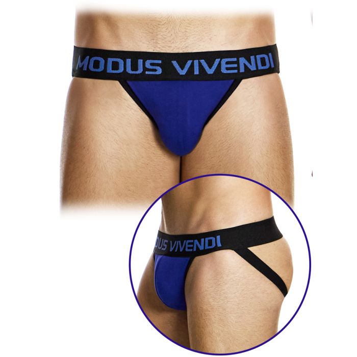 Jockstrap Upcycling - Lavande main product photo