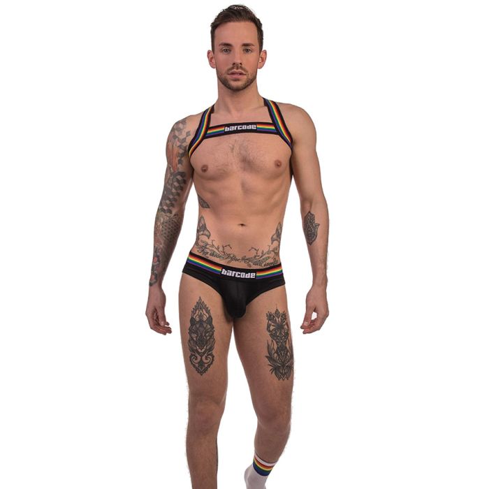 Harnais Pride - Noir main product photo