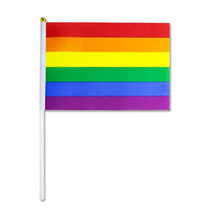 Pride Flag small main product photo