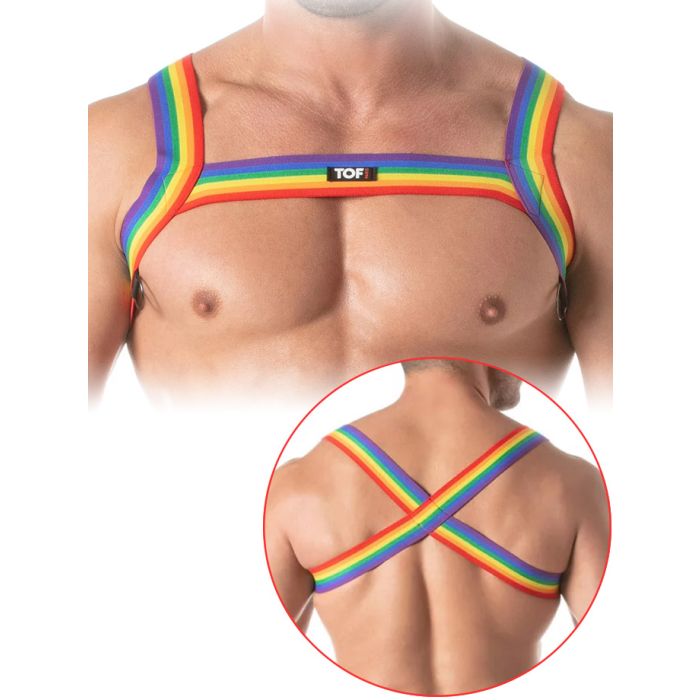Rainbow Chest Harness main product photo