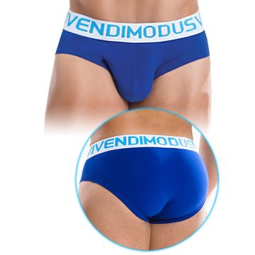 18511_weekly-brief-blue-modus-vivendi.jpg