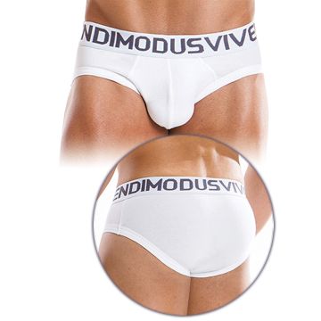 18511_weekly-brief-white-modus-vivendi.jpg